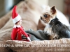 Jealous Elf on the Shelf via lilblueboo.com
