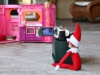 Peeping Tom Elf on the Shelf via lilblueboo.com