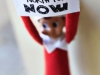 Occupy Elf on the Shelf via lilblueboo.com