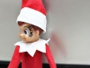 Hangover 2 (Tyson) Elf on the Shelf via lilblueboo.com #inappropiateelf #elfontheshelf #elf