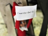 Elf Shaming: Sled Wetting Elf on the Shelf via lilblueboo.com #elfshaming #elfontheshelf #christmas