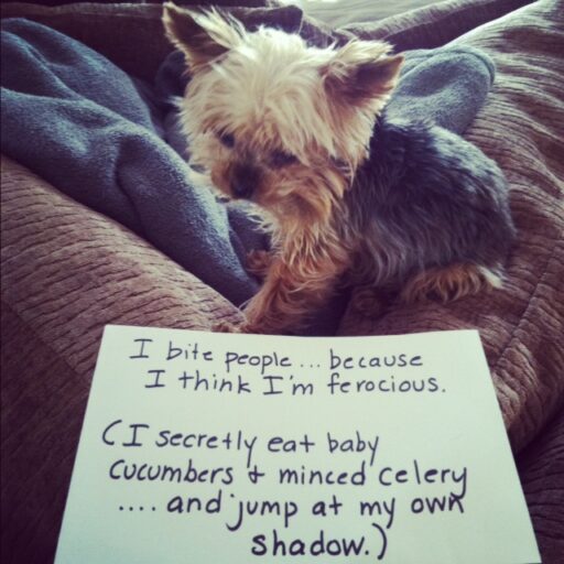 Diesel Shaming via lilblueboo.com