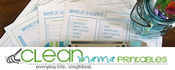 Clean Mama Printables via lilblueboo.com