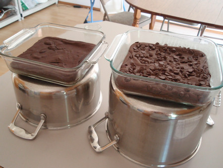 Thawing Food Quickly via lilblueboo.com Thawing Food Quickly via lilblueboo.com