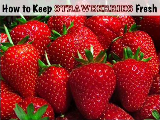 Keep Strawberries Fresh via lilblueboo.com