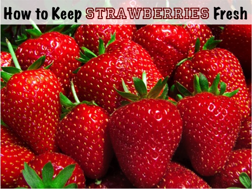 Keep Strawberries Fresh via lilblueboo.com Keep Strawberries Fresh via lilblueboo.com