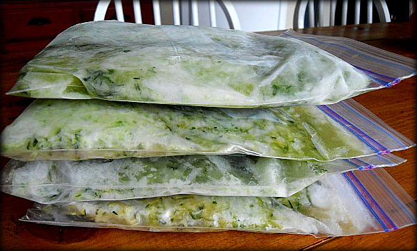 Freezer Portions and Space Saving via lilblueboo.com Freezer Portions and Space Saving via lilblueboo.com