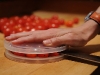 Easy Tomato and Grape Slicing via lilblueboo.com