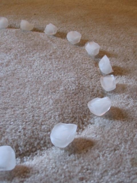  Random Household Tips: Get rid of old carpet divots and dents with ice at Fluff Designs Blog via lilblueboo.com