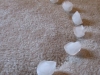  Random Household Tips: Get rid of old carpet divots and dents with ice at Fluff Designs Blog via lilblueboo.com