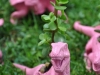 Recycled Toys - Planters via lilblueboo.com