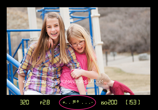 All about your camera light meter #photography via lilblueboo.com