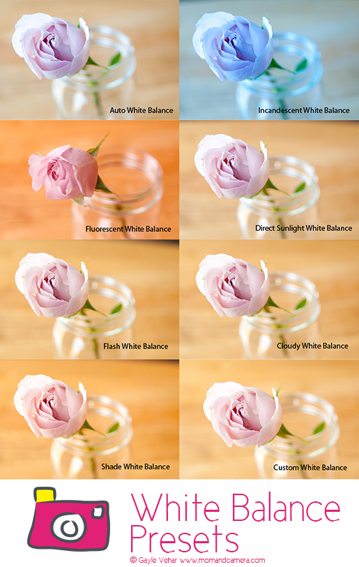 All About White Balance Presets  #photography via lilblueboo.com