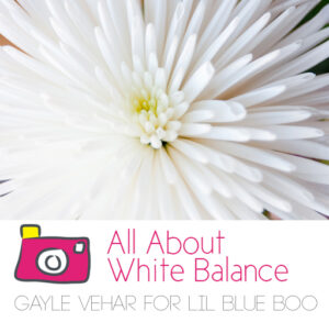 All About White Balance