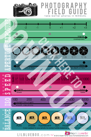 Photography Field Guide / Cheat Sheet Free Download via lilblueboo.com 