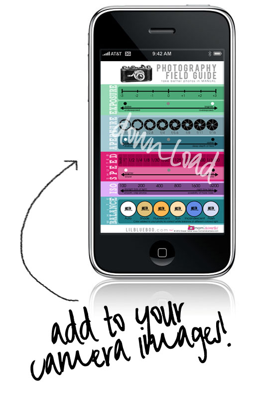 manual photography cheat sheet by Gayle Vehar for lilblueboo.com