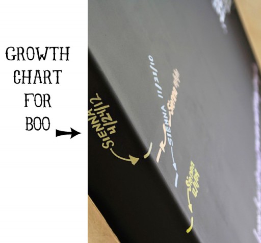 Chalkboard Growth Chart via lilblueboo.com