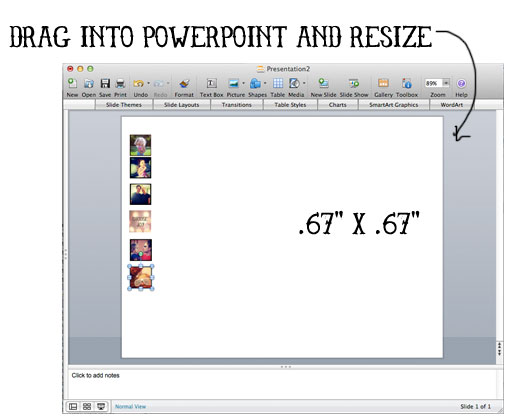 Step 4 Drag into Powerpoint via lilblueboo.com
