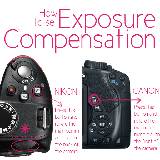 All About Photography Exposure Modes (how to set exposure compensation) by Gayle Vehar for lilblueboo.com