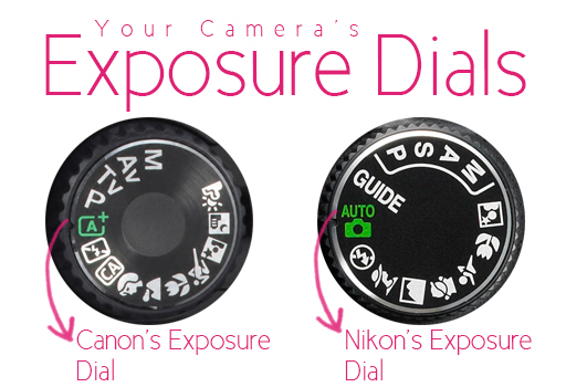 Nikon and Canon Exposure Dial by Gayle Vehar via lilblueboo.com