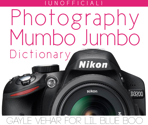 A Photography Dictionary: What does it all mean? via lilblueboo.com