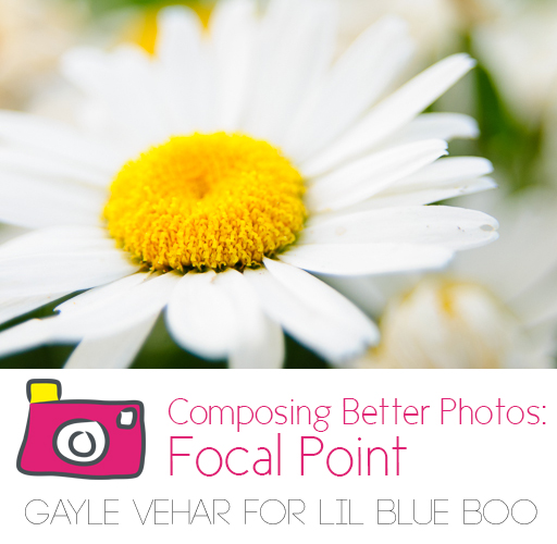 Composing Better Photos: Focal Point via lilblueboo.com