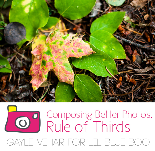 Composing a Better Photo: Rule of Thirds #photography via lilblueboo.com