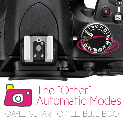 The Automatic Exposure Scene Modes by Gayle Vehar via lilblueboo.comThe Automatic Exposure Scene Modes