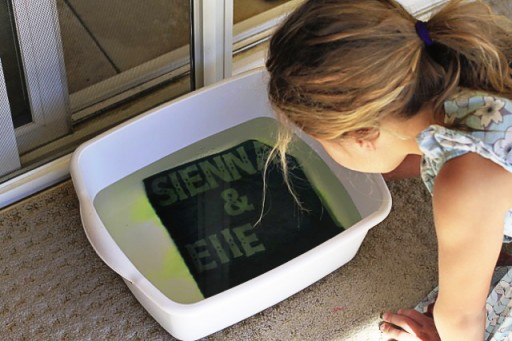 sun printing with kids via lilblueboo.com