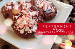 peppermint mocha shortbread cookies via lilblueboo.com