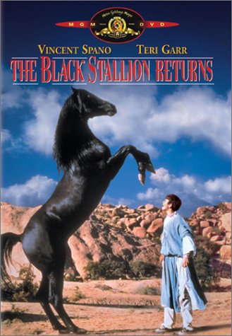 Great Horse Movies: Black Stallion Returns lilblueboo.com