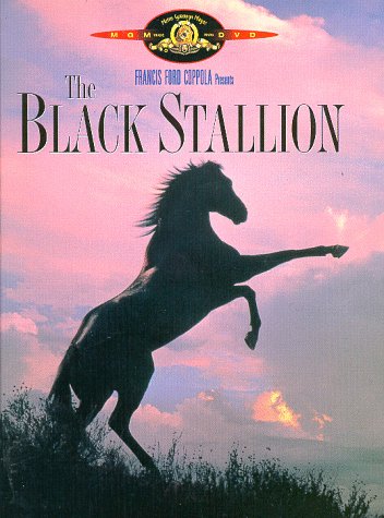 Great Horse Movies: Black Stallion via lilblueboo.com