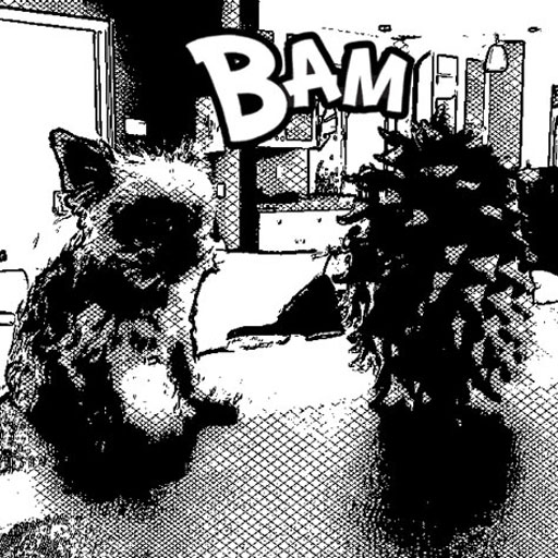 Manga Comics Camera App via lilblueboo.com