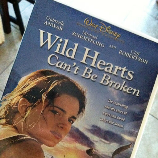 Wild Hearts Can't Be Broken via lilblueboo.com 