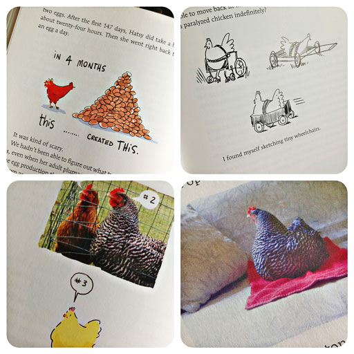 A book on raising chickens (a chicken memoir!) via lilblueboo.com