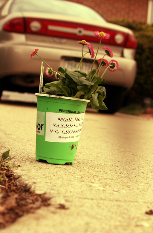 Random Acts of Kindness Week: give a neighbor a potted plant via Ashley Hackshaw / lilblueboo.com