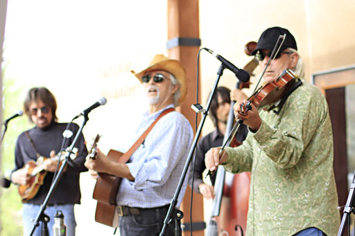 Wildflowers Palm Desert - Wildflower Festival - Shadow Mountain Band