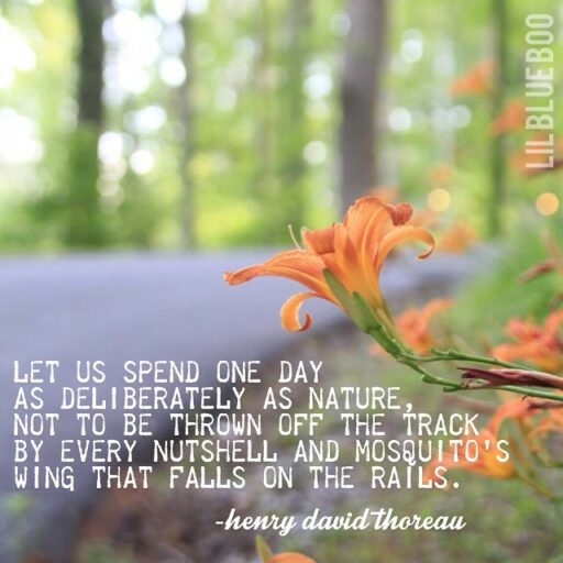 let us spend every day deliberately - quote by thoreau