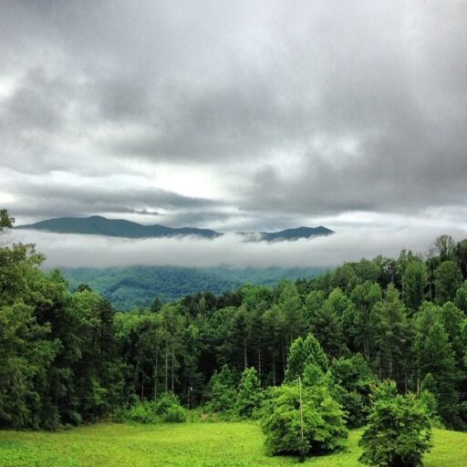 The Smoky Mountains