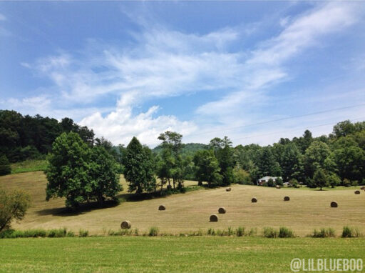 Bryson City - Hay Bales