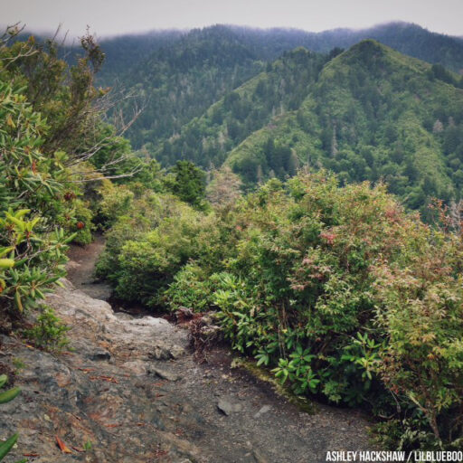 Inspiration Point at Mt Le Conte - Alum Cave Trail 