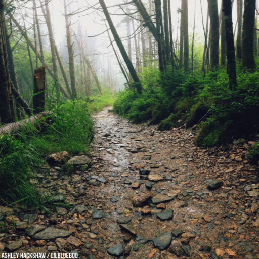 Hiking to Mt LeConte and Mount Le Conte Lodge