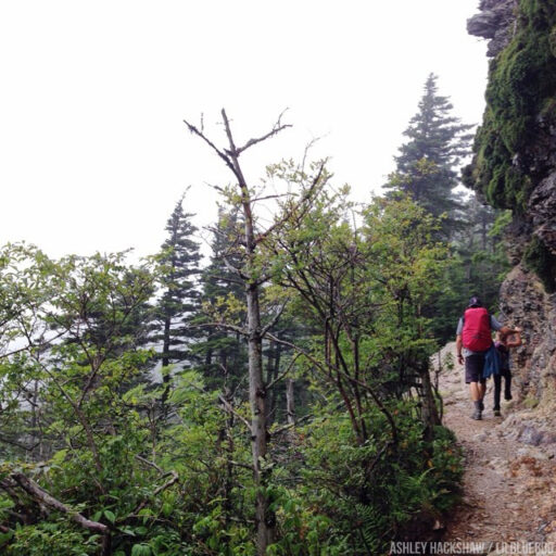 Climbing to Mt. LeConte and Mount Le Conte Lodge via Alum Cave Trail 