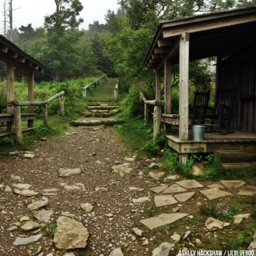 Staying at Mt Le Conte Lodge on top of Mount LeConte