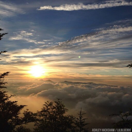 Myrtle Point from top of Mt LeConte in the Smokies #sunrise #mtleconte #myrtlepoint