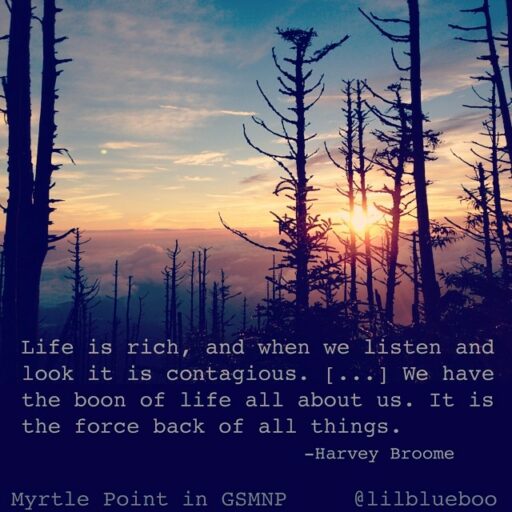 Life is Rich quote by Harold Broome - Great Smoky Mountains National Park - Mt LeConte and Lodge