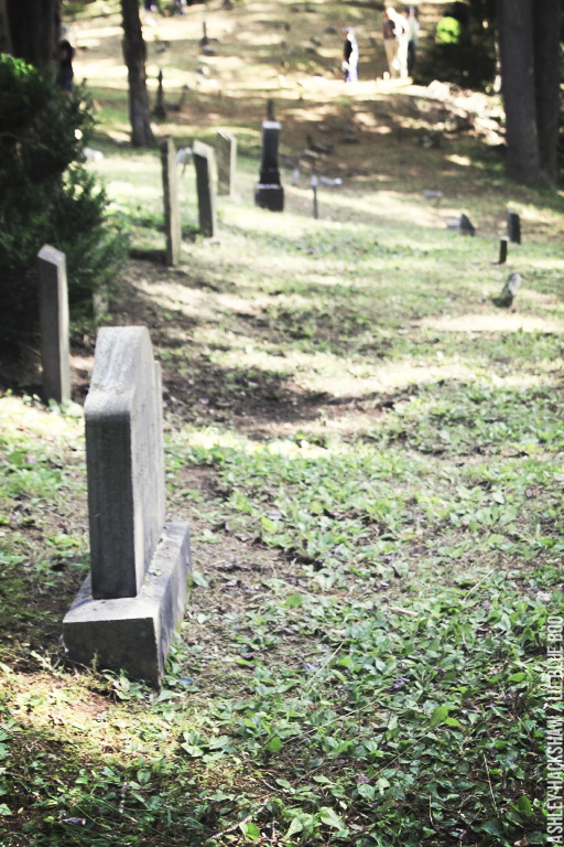 Proctor Cemetery - Hazel Creek Valley