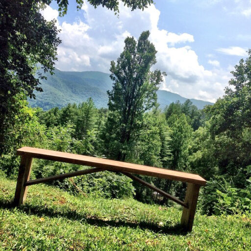 bench