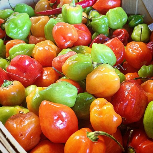 Fresh Produce from Darnell Farms in Bryson City