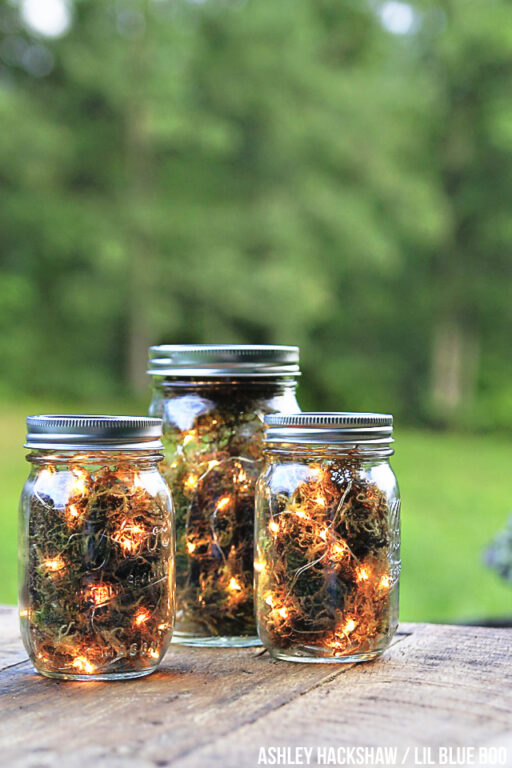 diy firefly mason jar lanterns